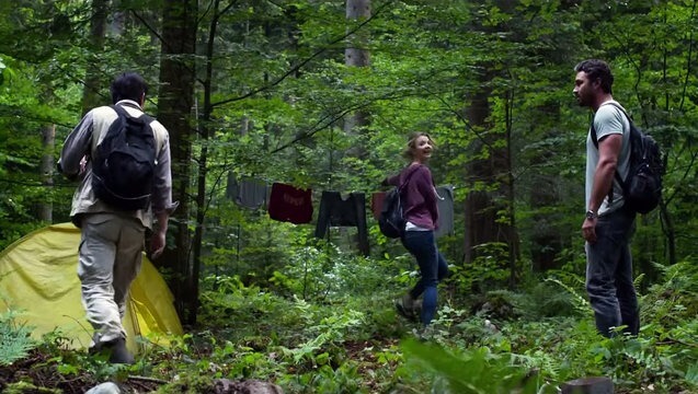 The forest Bild vom Film