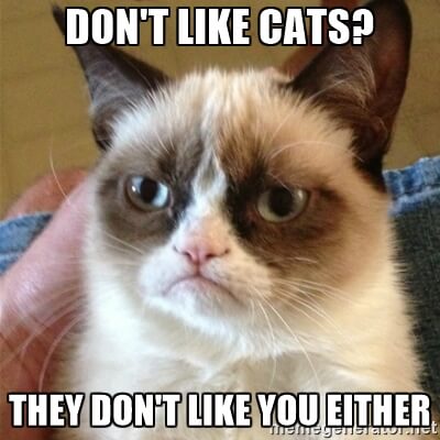 Grumpy Cat_Don't like Cats