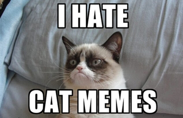 Grumpy Cat_I Hate Cat Memes