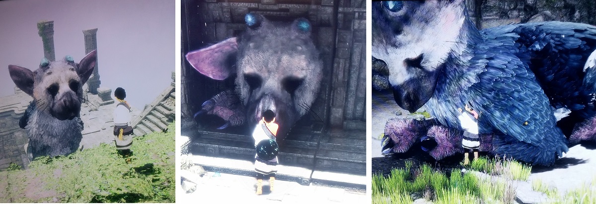 Last Guardian Test trico cuteness overload