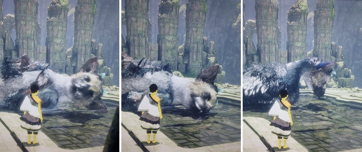 Last Guardian Test Trico nimmt ein Bad