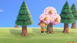 animal crossing geld verdienen leicht gemacht