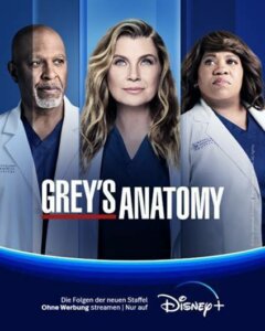 Grey's Anatomy – Die jungen Ärzte Staffel 18