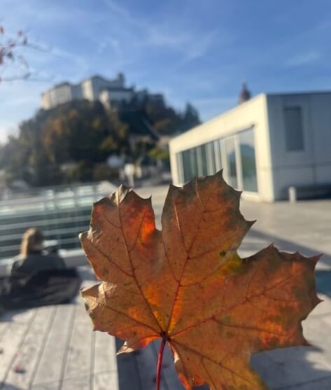 Hauptkamera des Redmi Pad 2 Pro