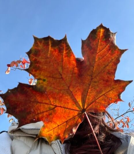 Frontkamera des Redmi Pad 2 Pro