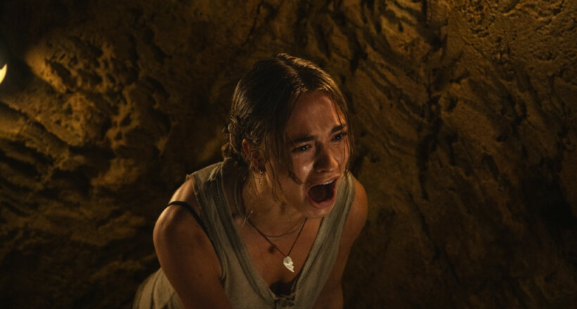 Primate Kinogutscheine