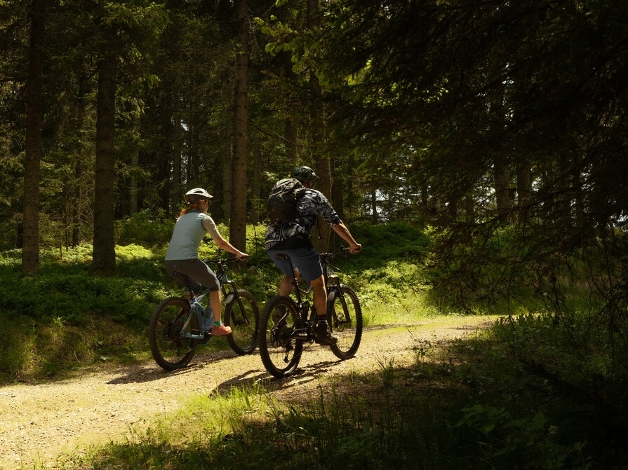 Biken durch die RegionQuelle: Hotel Gut Sein