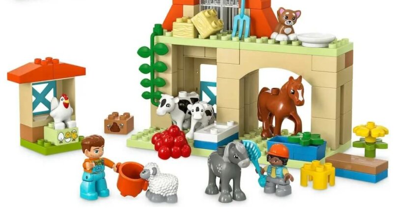 LEGO DUPLO 10416 Test